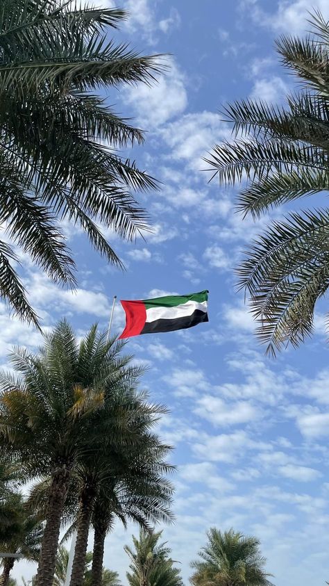 Uae Flag Aesthetic, Aesthetic Dubai, Emirates Flag, Flag Aesthetic, Uae Flag, الإمارات العربية المتحدة, Uae National Day, Airport Pictures, Dubai Vacation