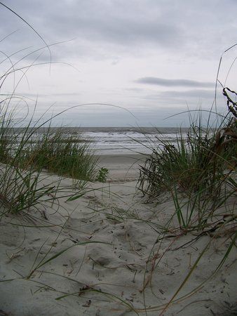 Litchfield Beach South Carolina, Beach Vacation Tips, Pawleys Island South Carolina, Pawleys Island Sc, Sullivans Island, South Carolina Beaches, Murrells Inlet, Beach South Carolina, Isle Of Palms