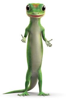 Geico Gecko I love this guy! Wish all geckos were like him! Geico Lizard, Geico Car Insurance, Money People, Funny Lizards, Auto Insurance Quotes, Arte Animal, Auto Car, Auto Insurance, Gecko