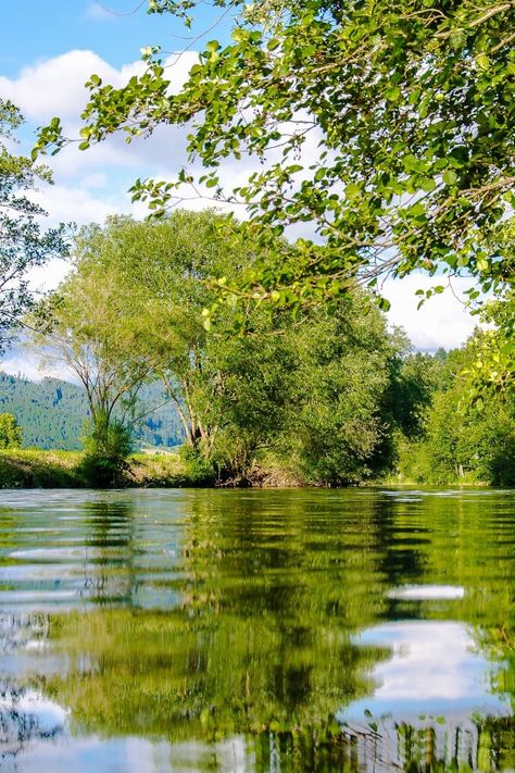 Panoramic Photo of Bushes Near Pond Pond Pictures, Nature Photography Inspiration, Nature Pond, Landscaping Rocks, Improve Photography, Summer Nature Photography, Photography Inspiration Nature, Nature Photography Tips, Panoramic Photo