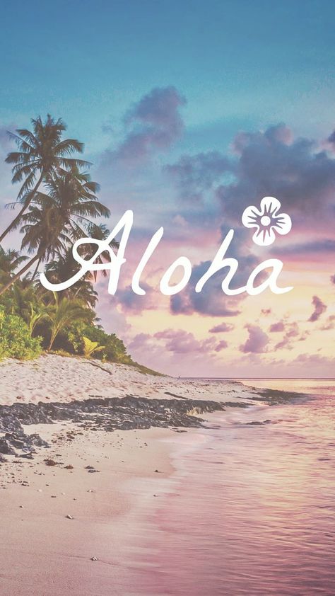 Aloha beach during daytime HD wallpaper App Ikon, Iphone Wallpaper Preppy, Wallpaper Iphone Summer, Wallpaper Tumblr, Summer Backgrounds, Wallpaper Iphone Quotes, Preppy Wallpaper, Trendy Wallpaper, Wallpapers Iphone