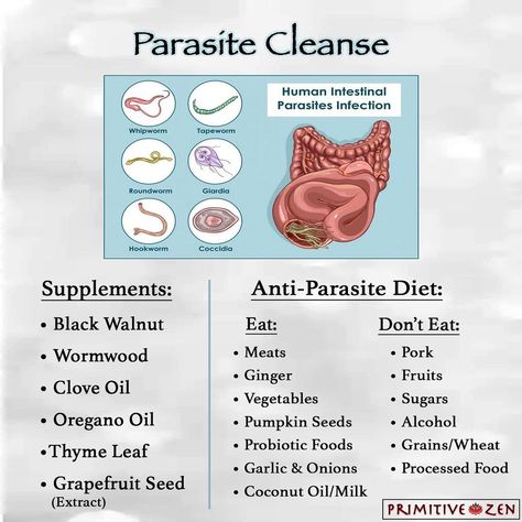 ZenFlow on Instagram: “*The Parasite Cleanse* - Three ways to help your body remove these parasites include an anti-parasite diet, parasite killing supplements,…” What Kills Parasites, What To Eat During Parasite Cleanse, How To Remove Parasites, Removing Parasites Naturally, Anti Parasite Diet, Remove Parasites Naturally, Anti Parasite Cleanse, Foods That Kill Parasites, Parasitic Cleanse