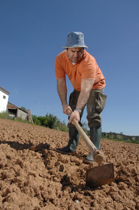 Farmer working on the farm. A farmer working on the farm , #Aff, #working, #Farmer, #farmer, #farm #ad Farm Workers Photography, Farming Pose Reference, Farmer Pose Reference, Farmer Reference, Gifts For Construction Workers, Farmer Working, Figure Composition, Farmer Life, Agricultural Tools