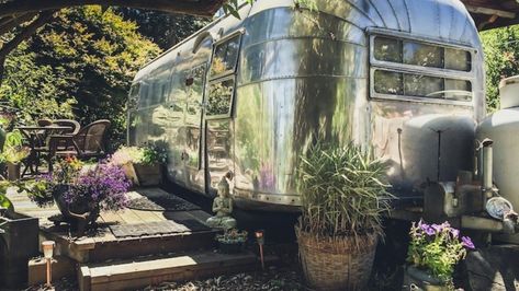 Glamping Business, Glamour Camping, Florida Adventures, Vintage Airstream, Glamping Site, Vintage Travel Trailers, Luxury Camping, How To Buy Land, Tourist Destinations