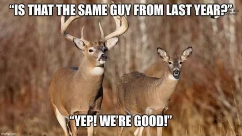 Deer Hunting Memes, Hunting Meme, Funny Hunting Pics, Hunting Quotes Funny, Deer Hunting Humor, Hunting Jokes, Deer Whitetail, Hunting Quotes, Funny Deer