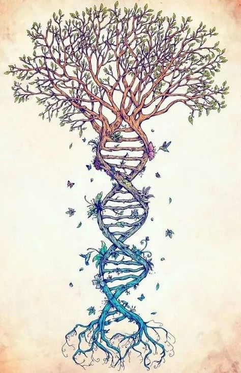 creative roots... Dna Tree, Science Tattoo, Tattoo Tree, Medical Tattoo, Family Tree Tattoo, Kunst Tattoos, Tree Tattoo Designs, Tree Of Life Tattoo, Celtic Tree Of Life