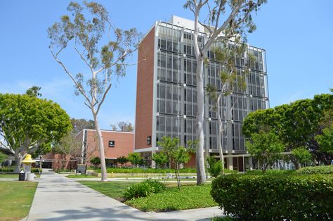 California State University, Long Beach - LA Conservancy Csu Long Beach, California State University Long Beach, California State University, Eucalyptus Tree, Dream College, Dream School, Historic Places, Green Landscape, Master Plan