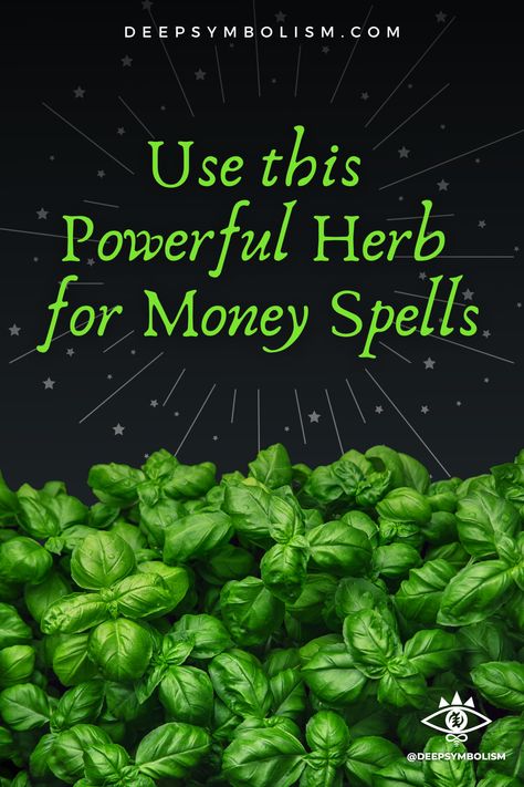 Herbs For Prosperity Money, Herbs For Financial Abundance, Basil Money Spell, Money Herbs Magic, Herbs For Money Spells, Money Rituals Magic Spells, Money Attraction Spells, Herbs For Wealth And Prosperity, Money Alter