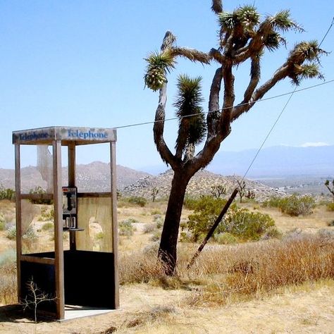 payphone in desert in the middle of nowhere in the daylight Mojave National Preserve, Desert Aesthetic, San Bernardino County, Telephone Booth, Desert Dream, Desert Life, California Desert, Middle Of Nowhere, Mojave Desert