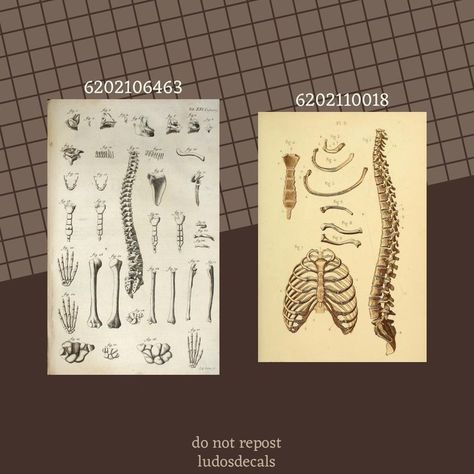 bloxburg photo decal id Doctor Office Decals Bloxburg, Photos For Bloxburg Codes, Bloxburg Hospital Layout Ideas, Doctor Office Bloxburg, Clinic Decals Bloxburg, Bloxburg Biology Decals, Dinosaur Decals Bloxburg, Old Paintings Bloxburg Codes, Bloxburg Science Classroom Decals