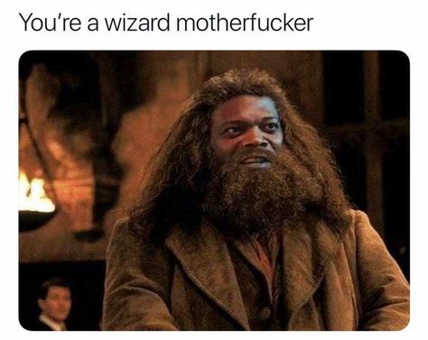 Cool Memes, Glume Harry Potter, Samuel L Jackson, Old Memes, Memes Of The Day, Joke Of The Day, Fresh Memes, Harry Potter Funny, صور مضحكة