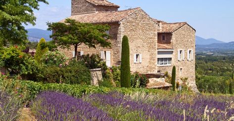 Ils nous font rêver au beau milieu des champs de lavandes, mais qui pourrait résumer, finalement, ce qui définit le mas provençal ? Au-delà de la région, des pierres et du soleil, on a décidé de se renseigner. Et on vous fait un résumé, afin de reconnaître un mas provençal en un Houses In France, Grand Est, Cap Ferret, French Architecture, Rustic Home Design, French Property, Stone Houses, Stone House, Stock Photography Free