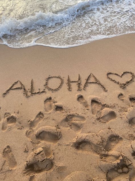 Maui, Hawaii 📍 Honeymoon In Hawaii Aesthetic, Hawaii Aesthetic Honolulu, Hanalulu Hawaii, Hawaii Maui Aesthetic, Birthday In Hawaii, Ohua Hawaii, Hawaii Vacation Aesthetic, Hawaii Places To Visit, Beach Hawaii Aesthetic