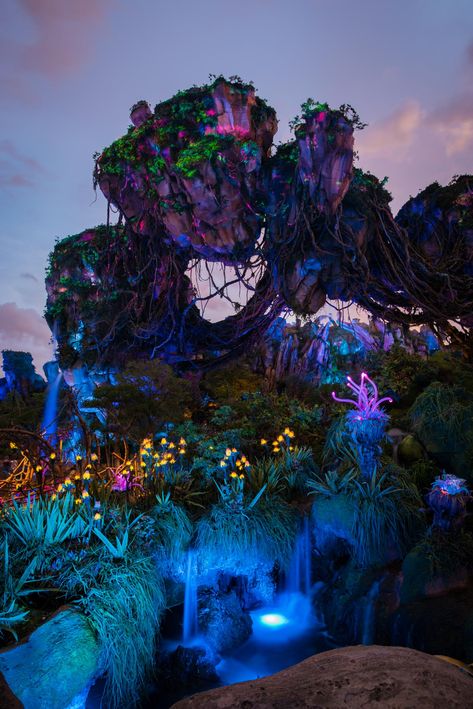 Animal Kingdom Photography, Pandora Disney Animal Kingdom, Avatar Pandora Nature Wallpaper, Disney Animal Kingdom Wallpaper, Disney’s Animal Kingdom, Dream World Aesthetic, Animal Kingdom Pictures, Animal Kingdom Picture Ideas, Animal Kingdom Aesthetic