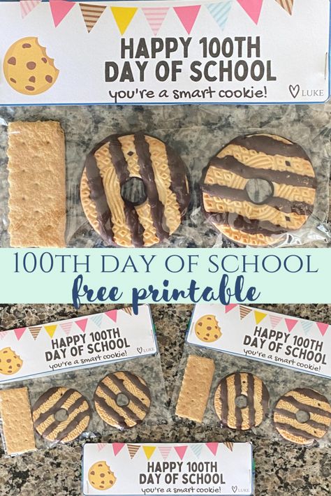 100 Day Of School Gifts For Kids, 100 Days Door Decoration, 100 Days Of School Gifts For Teacher, Simple 100 Days Of School Ideas, 100 Snacks For 100th Day Of School, 100 Days Of School Homeschool, Collection Of 100 Things For Kids, 100th Day Of School Items To Bring, Prek 100th Day Activities