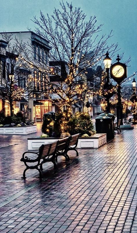 Washington Street Mall Cape May, NJ. in the Winter. Christmas Photograph, Have Inspiration, Cape May, Christmas Scenes, City Street, Christmas Aesthetic, Pretty Places, Winter Scenes, Vacation Spots