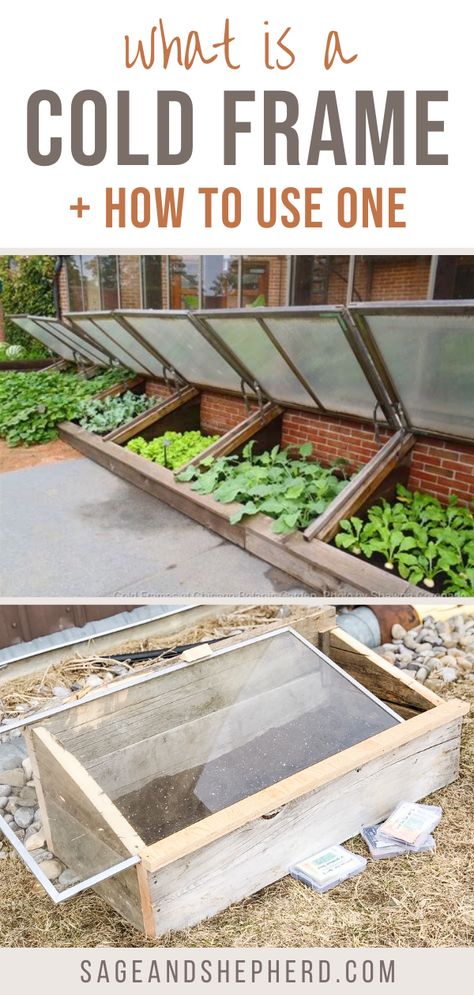 Learn everything you need to know about a cold frame! A cold frame allows you to plant earlier and grow cold hardy crops like lettuce and roots! Pallet Cold Frame, Old Window Cold Frame, Underground Cold Frame, Straw Bale Cold Frame, Cold Frame Garden, Diy Cold Frame Ideas, Coldframe Gardening Diy, Garden Cold Frame Diy, How To Build A Cold Frame