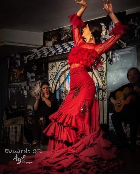 Fay Hart on Instagram: "#flamenco #spain #dancer # fashion #red #design #history" Flamenco Dancers Photography, Flamenco Spain, Flamenco Style Dress, Ballroom Dance Outfits, Dancer Fashion, Dancer Drawing, Spanish Dance, Dancer Photography, Spanish Dancer