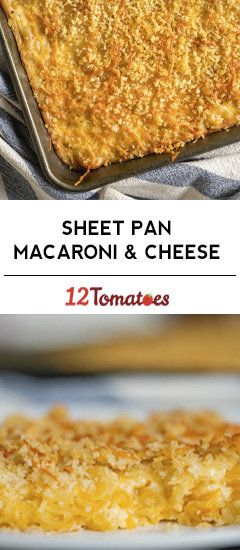 Sheet Pan Macaroni and Cheese | 12 Tomatoes Sheet Pan Macaroni And Cheese, Sheet Pan Mac And Cheese, Pan Mac And Cheese, Tray Meals, Bake Mac, Pasta Receipes, Cheesy Mac, Lenten Recipes, Macaroni Recipes