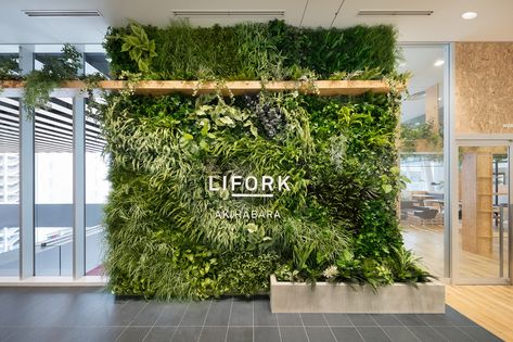 Green Wall Design, Cool Office Space, Wall Signage, Green Office, Church Stage Design, Office Entrance, Reception Design, Clinic Design, Office Plants