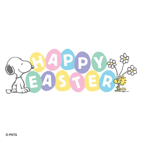 PEANUTS on Twitter: "Happy Easter! 🐰🐥🌸… " Charlie Brown Easter, Happy Easter Wallpaper, Peanuts Wallpaper, Snoopy Easter, Wallpaper Aesthetics, Easter Backgrounds, Snoopy Images, Easter Wallpaper, Happy Easter Card