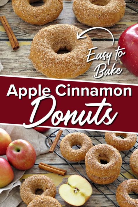 Johnny Appleseed Recipes, Apple Cinnamon Donut, Baked Apple Cinnamon, Baked Doughnut, Apple Doughnut, Doughnut Recipes, Homemade Donuts Recipe, Apple Donuts, Fried Donuts