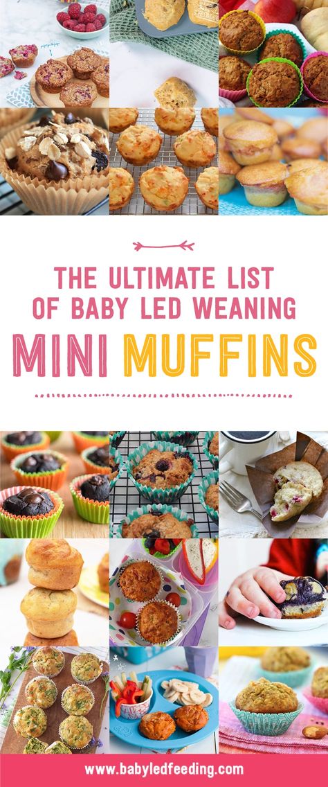 Mini Muffins Recipes for Baby Led Weaning - Baby Led Feeding Freezer Mini Muffins, Freezer Friendly Blw Recipes, Hide Veggies In Food Picky Eaters, Baby Veggie Muffins, Baby Food Muffins Recipes, Mini Muffins For Babies, Baby Mini Muffins, Healthy Muffins For Babies, Healthy Muffins For Baby