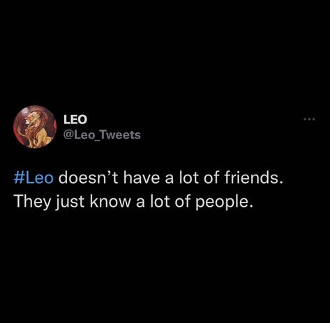 Leo Quotes Women, Lioness Queen, Leo Szn, Leo Aesthetic, Aquarius Leo, Leo Lover, Leo Queen, Leo Personality, Leo Zodiac Quotes