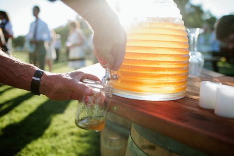 Casual Walnut Orchard Wedding Orchard Wedding, Beer Mug, Big Day, Beer Glasses, Walnut, Tableware, Photography