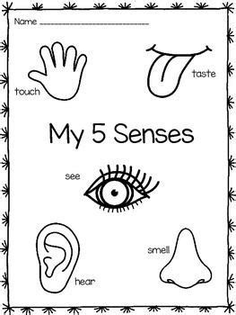 5 Senses Projects For Preschool, Our Five Senses Preschool, 5 Senses Coloring Page, 5 Senses Coloring Page Preschool, Five Senses Coloring Page, Senses Coloring Page, 5 Senses Preschool, Kristen Davis, Five Senses Worksheet