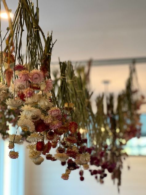 Dried Straw Flowers, How To Dry Flowers And Keep Color, Freeze Dried Flowers, How To Dry Flowers, Straw Flowers, Long Stem Flowers, Dried Florals, Outdoor Party Decorations, Diy Outdoor Decor