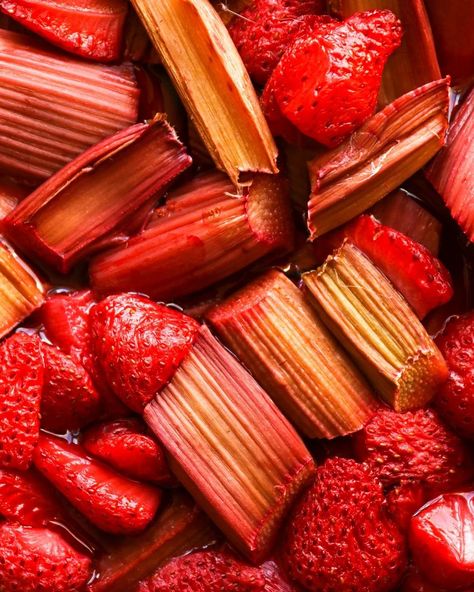 This Roasted Rhubarb Strawberry Sorbet is an absolute delight. It takes minimal effort for a punchy, beautifully colourful dessert. It also just has a few ingredients, needing only strawberries (fresh or frozen!), rhubarb, water and honey. You don’t need a fancy ice cream machine to make it, although I would recommend a food processor for the very best results. Comment "SORBET" for the recipe direct to your inbox 📥 #homemadesorbet #sorbet #rhubarbrecipes #strawberries #dairyfreedessert Rhubarb Water, Fancy Ice Cream, Homemade Sorbet, Rhubarb Strawberry, Roasted Rhubarb, Sorbet Is, Fancy Ice, Strawberry Sorbet, Colorful Desserts