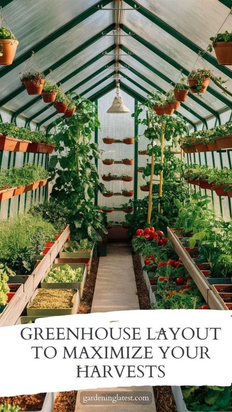 Simple Greenhouse Design, Diy Patio Greenhouse, Where To Put Greenhouse, 8x6 Greenhouse Layout, Greenhouse In Backyard, Diy Indoor Vegetable Garden, All Season Greenhouse, Plastic Greenhouse Ideas, Greenhouse Tips And Tricks