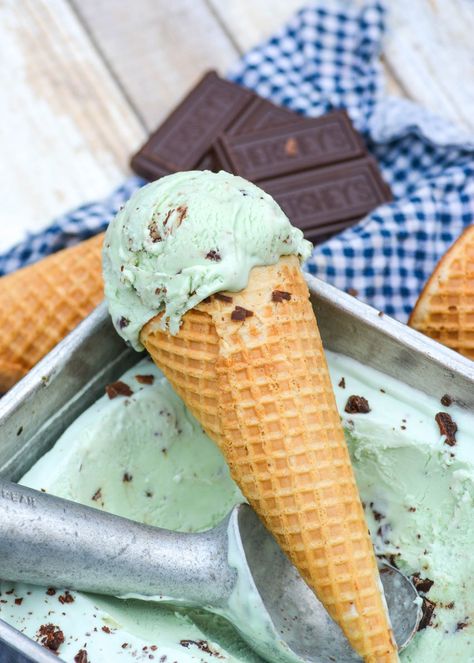 Movie Meals, Mint Food, Ice Cream Mint, Homemade Sweetened Condensed Milk, Mint Choco, Mint Chocolate Ice Cream, Creamy Ice Cream, Dessert Aesthetic, Mint Chip Ice Cream