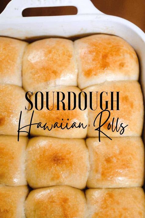 Easiest Bread Recipe Ever, Portuguese Sweet Bread, Recipe Using Sourdough Starter, Sourdough Rolls, Sourdough Starter Discard Recipe, Homemade Sourdough Bread, Bread Starter, Sourdough Starter Recipe, Sourdough Baking