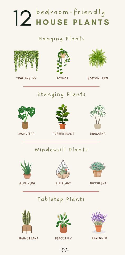 Looking for bedroom plants decor ideas and inspiration? Improve air quality, diffuse toxins, and release oxygen with these 12 bedroom-friendly house plants! Discover plant ideas for bedrooms and how to style them on the blog!  Please note: Check the individual suitability of these plants with pets or children, as some of them may be toxic if placed within reach. Bedrooms With Hanging Plants, Best Plants For Apartments, Plants To Grow In Apartment, Natural Plant Bedroom Ideas, Bedroom Ideas For Small Rooms Plants, Simple Plant Bedroom, Plant Bedroom Inspirations, Plant On Wall Decor, Bedroom Decoration With Plants