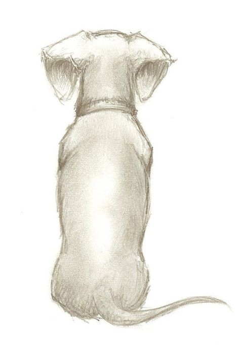 Dog Drawing Dachshund, Drawing Dachshund, Arte Dachshund, Dachshund Drawing, Doxie Art, Dachshund Tattoo, Manhattan Project, Dachshund Art, Weenie Dogs