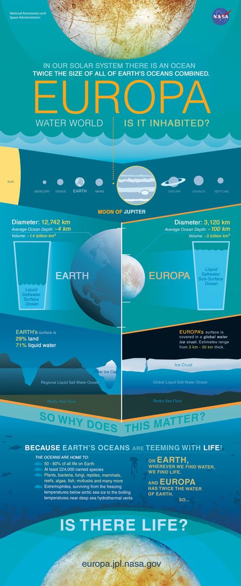 We all have a lot of questions about Mars. Recently, at a National Geographic Live event in Seattle, we collected quite a few. Luckily for us, Dr. Ray Arvidson, planetary geologist and professor at… Infographic Science, Planet Facts, Sentient Beings, Jupiter Moons, Space Facts, Earth From Space, Carl Sagan, Sistema Solar, Our Solar System