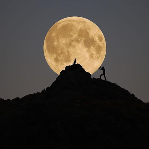 Shoot The Moon, Moon Photos, Perfectly Timed Photos, Moon Pictures, Moon Photography, Super Moon, Beautiful Moon, Moon Glow, Full Moon