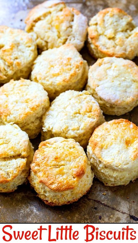 From scratch Sweet Little Biscuits are tender and buttery. Sweet Biscuit Recipe, Southern Buttermilk Biscuits, Biscuits From Scratch, Biscuit Ideas, Spicy Southern Kitchen, Milk Biscuits, Bread Dough Recipe, Family Brunch, Biscuit Rolls