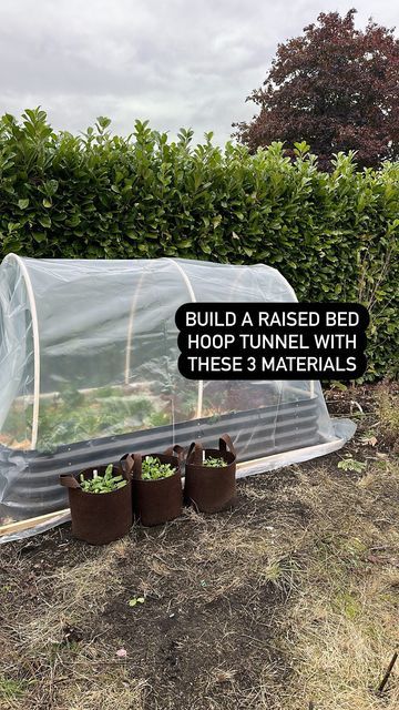 Diy Raised Bed Cover, Pvc Garden Cover, Garden Covers For Raised Beds, Raised Garden Bed Covers, Raised Garden Bed Cover, Building A Raised Bed, Mini Farming, Raised Bed Frame, Build A Raised Garden Bed