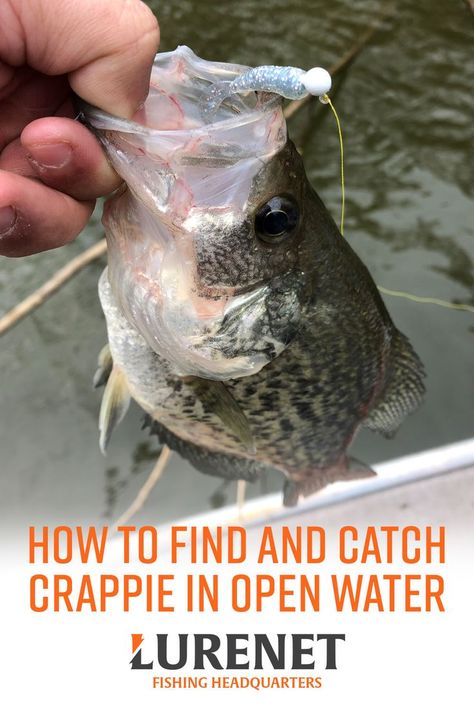 Crappie Rigs, Bass Fishing Pictures, Kayak Fishing Tips, Crappie Fishing Tips, Bass Fishing Tips, Fishing Pictures, Fishing Rigs, Crappie Fishing, Fishing Techniques