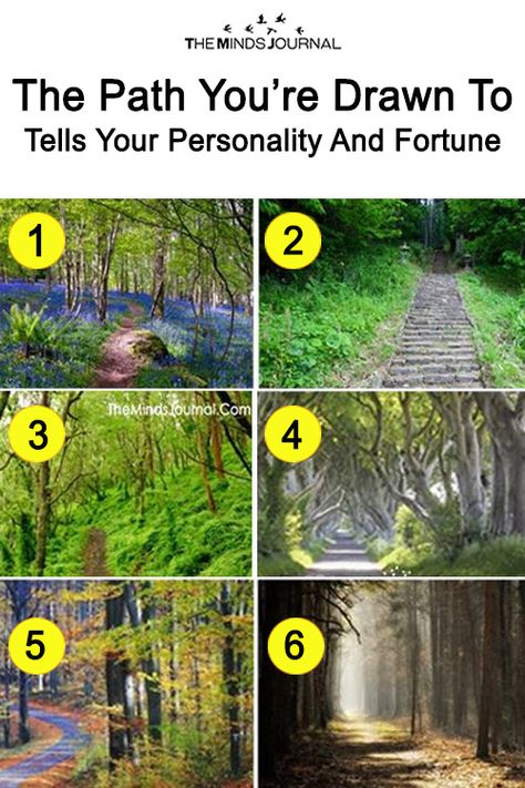 Fun Test: The Path You’re Drawn To Tells Your Personality And Fortune – The Minds Journal Spiritual Test, True Colors Personality, Mind Test, Personality Test Psychology, Personality Psychology, Fun Personality, Fun Test, Fun Quiz, Mindfulness Journal