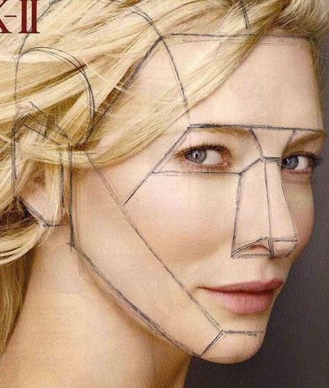 Cate Blanchett diagram | 2021-04-03 Planes Of The Face, 얼굴 드로잉, 얼굴 그리기, Magazine Images, Human Drawing, Drawing Hair, Drawing Faces, Anatomy Drawing, Anatomy Art