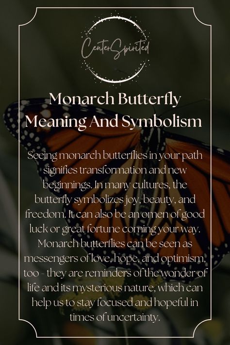 Spiritual Meaning Of Monarch Butterfly, Meaning Of Monarch Butterfly, Butterfly Omen Meaning, Different Butterflies And Their Meanings, Meanings Of Butterflies, Monarch Meaning, Black And Orange Butterfly Meaning, Monarch Butterfly Tattoo Meaning, Monarch Butterfly Symbolism