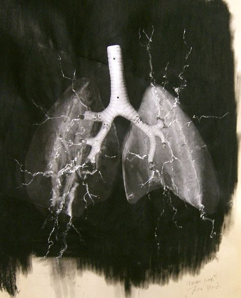 Electric Lungs Lungs Drawing, Lloyd Jones, Art Movements, Rock Lee, Science Art, Lungs, Black Aesthetic, Art Forms, A Black