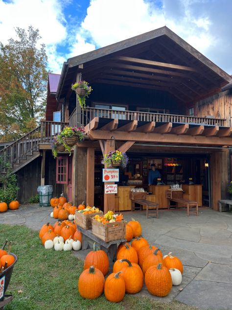 fall actuvites autumn ideas apple orchard pumpkin patch photography fall aesthetic Apple Orchard Aesthetic, Orchard Aesthetic, Fall Orchard, Apple Tree Farm, Pumpkin Patch Photography, Patch Photography, Seasonal Aesthetic, Apple Autumn, Mood 2024