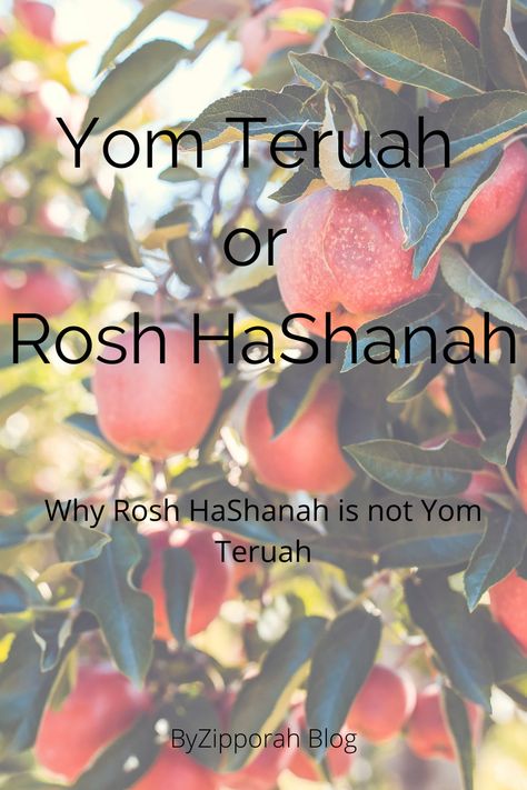 Rosh Hashana Cards, Feast Of Trumpets, Rosh Chodesh, Yom Teruah, Jewish Feasts, Feasts Of The Lord, Jewish Festivals, Hebrew Roots, High Holidays