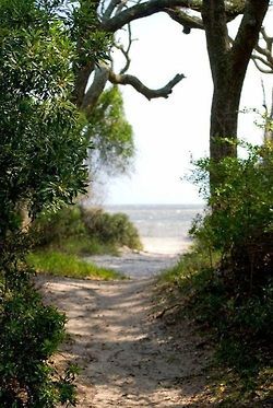 My inner landscape Jekyll Island Georgia Photography, Path To The Beach, Jekyll Island Georgia, Coastal Georgia, Travel Georgia, Beach Path, Meditation Garden, Driftwood Beach, Georgia Travel