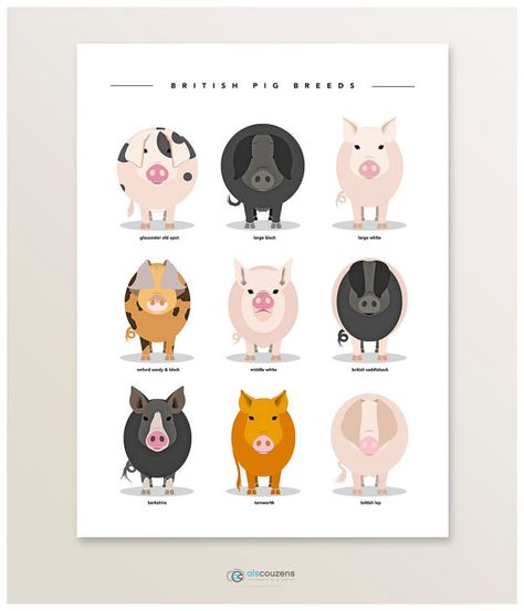 Pig Poster Animal Print Pig Breeds Illustration Farm Pig Poster, Farm Poster, Pig Breeds, Horse Movies, Pig Crafts, Poster Animal, Pig Illustration, Fluffy Cows, Pig Art